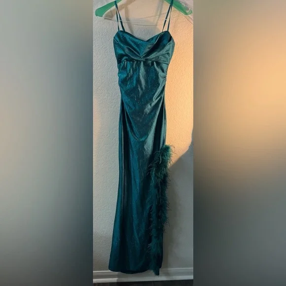 Maxi Dress with Feather Detail prom dress - Picture 2 of 4